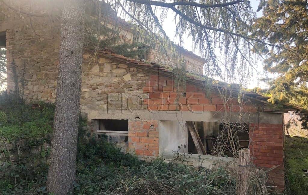 Casa colonica da ristrutturare con oliveto