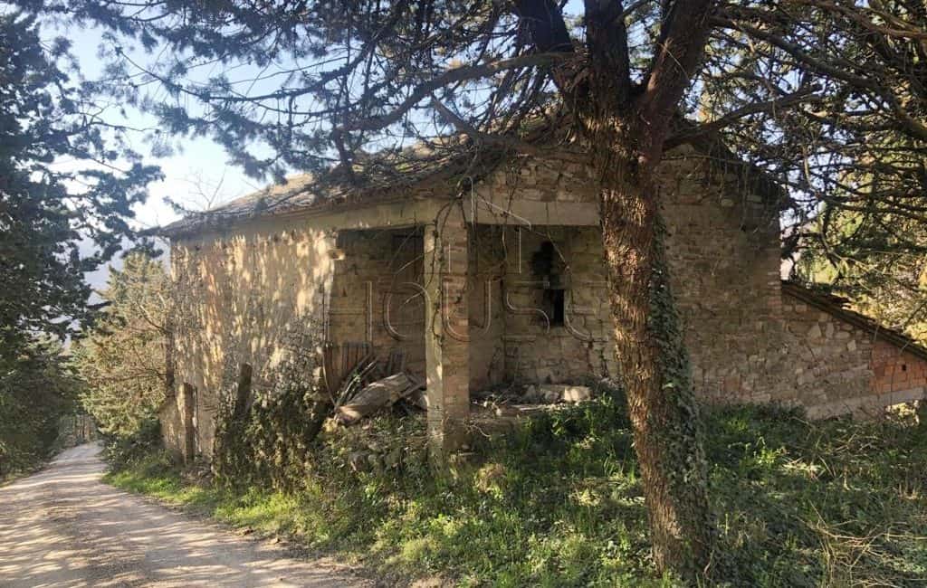 Casa colonica da ristrutturare con oliveto