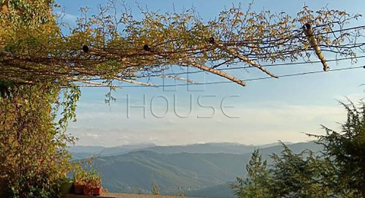 Casa singola con giardino