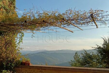 Casa singola con giardino