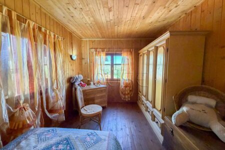 Complesso immobiliare di due abitazioni e terreno