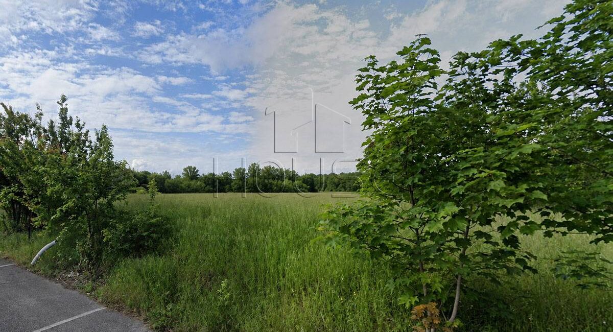 Lotto di terreno