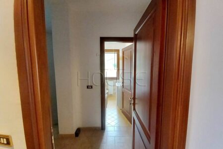 Villa singola di 470mq con uliveto