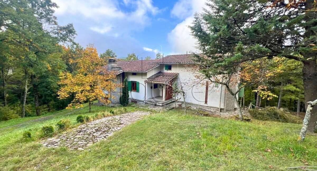 Villa singola con 9.000 mq di terreno e mansarda abitabile