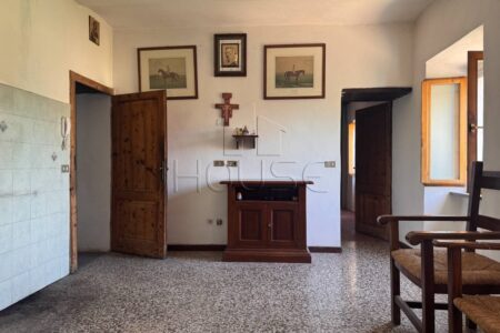 Complesso immobiliare con ampio terreno