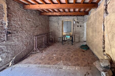 Porzione di casale in pietra con uliveto ed annesso