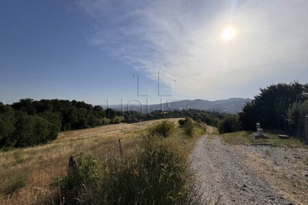 Terreno agricolo con piano di recupero