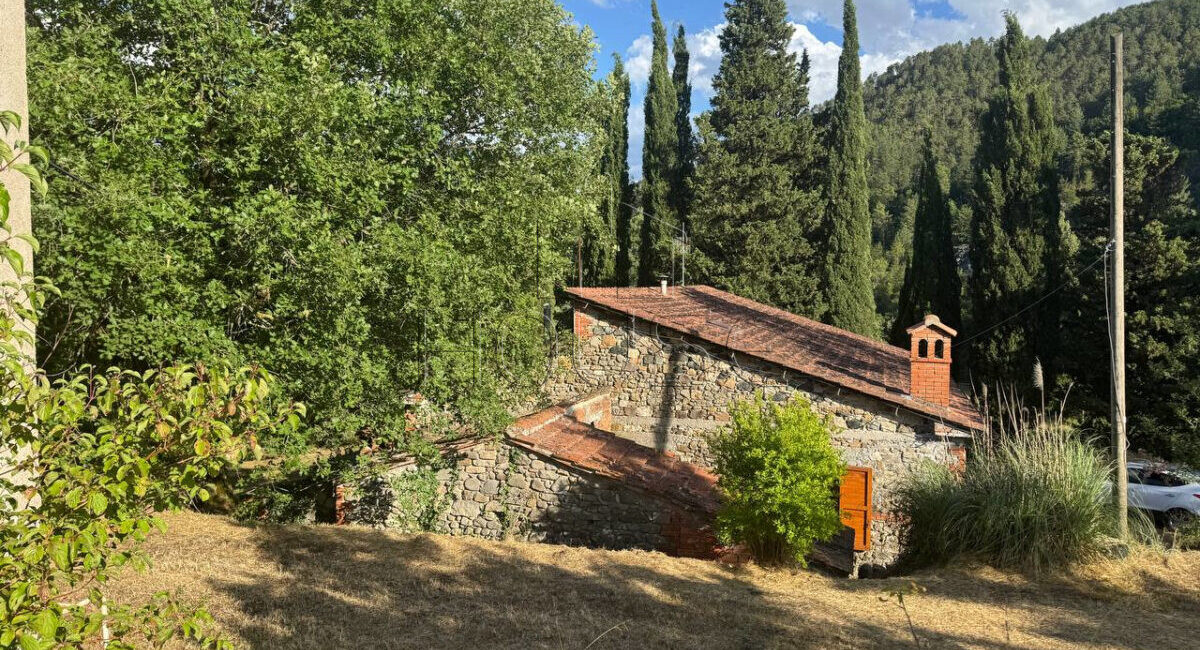 Casa singola con annesso e 3 ettari di terreno