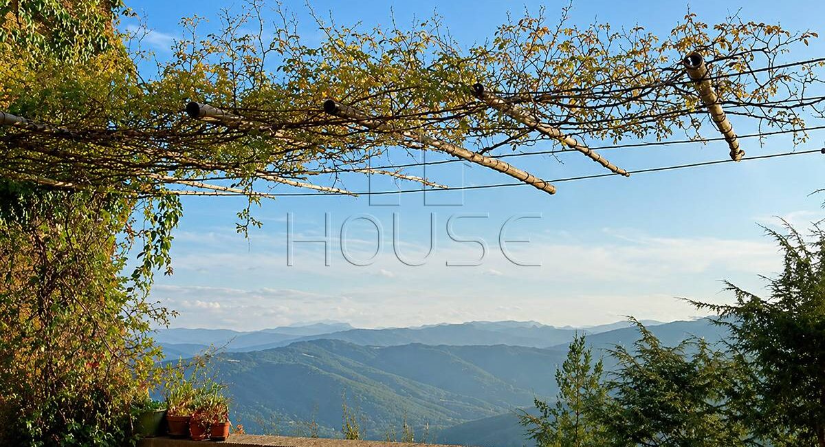 Casa singola con giardino