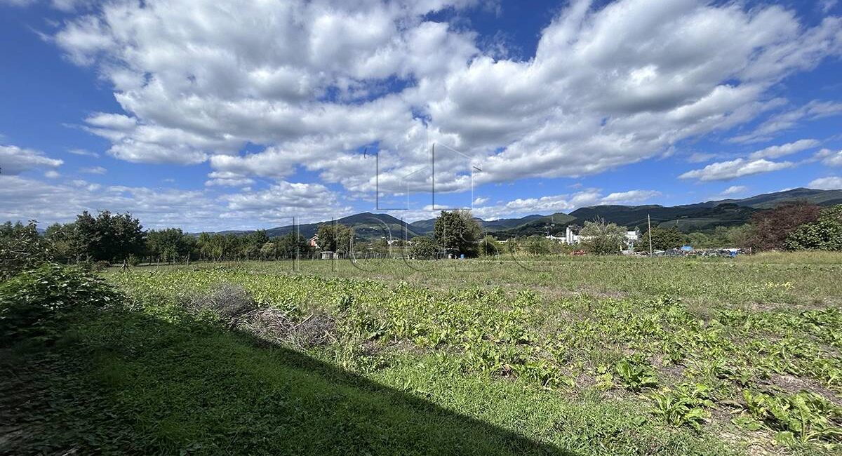 Terreno agricolo pianeggiante con fabbricato