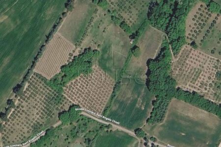 Terreno agricolo con vigneto, uliveto e bosco in vendita a Rancolfo