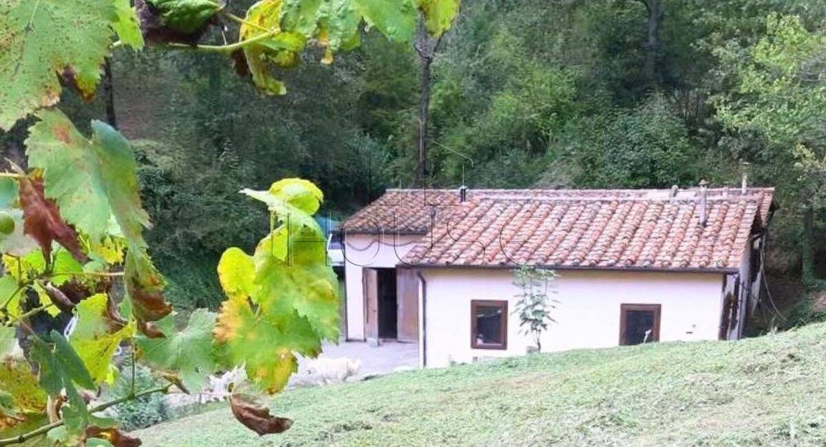 Annesso condonato con ampio terreno in campagna