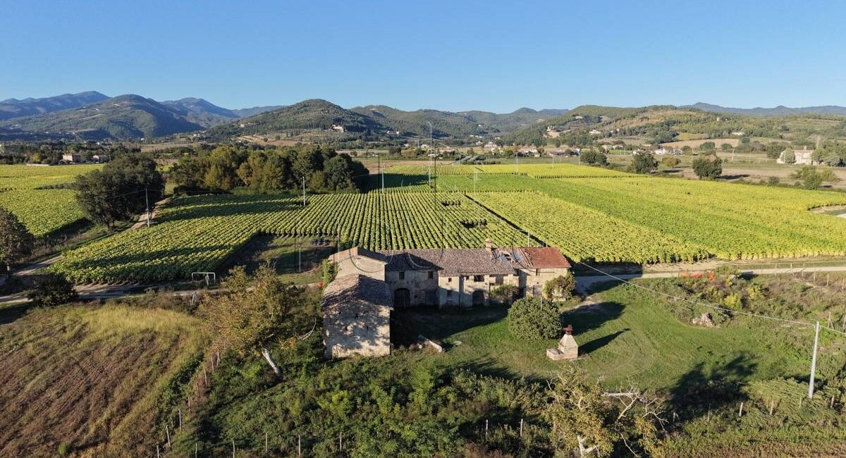 Podere colonico con terreno esclusivo, zona Badiali