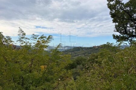 Casale in vendita a Preggio, Umbertide, con 2 abitazioni e 10 ettari di terreno